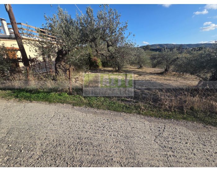 For Sale - AGIA EIRINI SPILIA