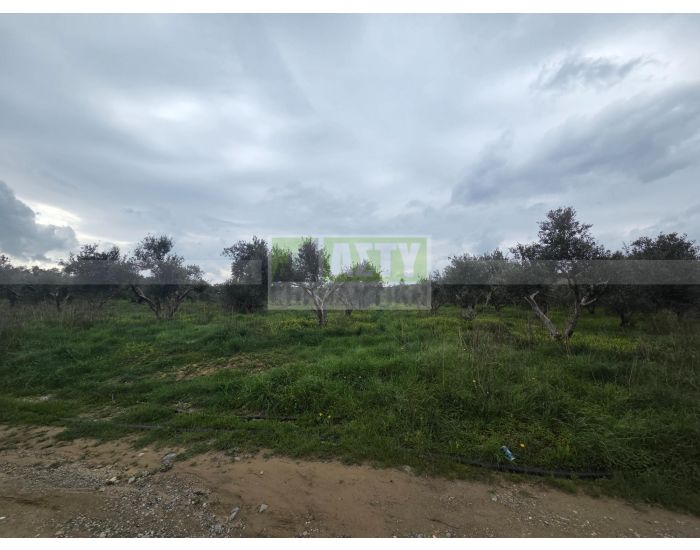 Πωλείται - ΙΝΙ