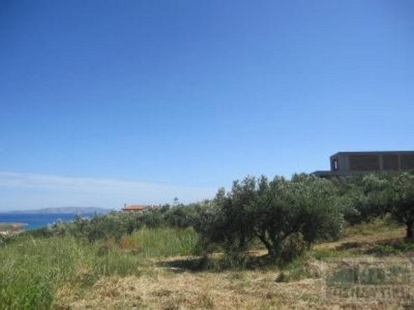 For Sale - ΠΡΑΣΣΑΣ