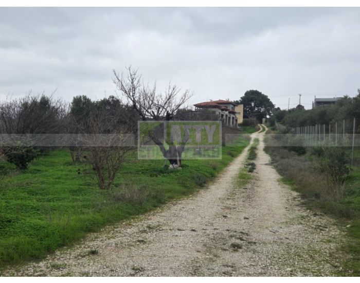 For Sale - ESTAVROMENOS-ELMEPA