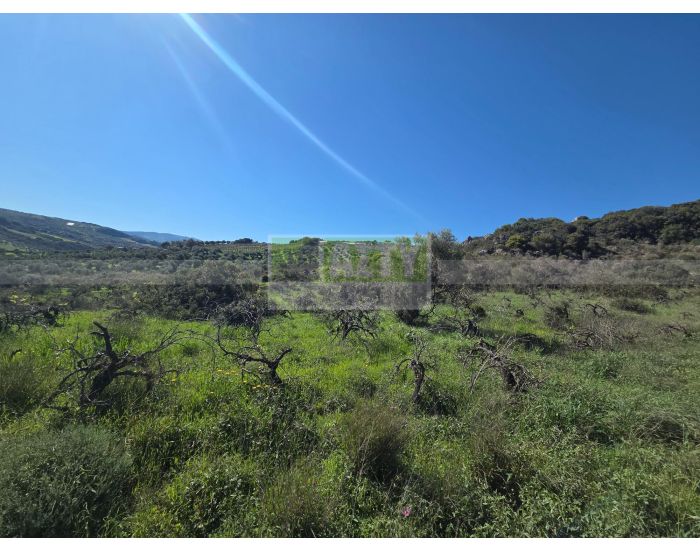 Πωλείται - ΚΑΡΝΑΡΙ