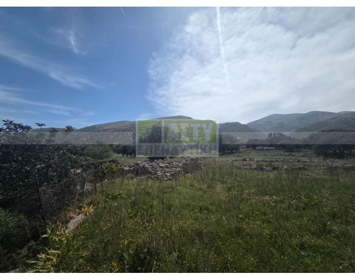For Sale - MALIA