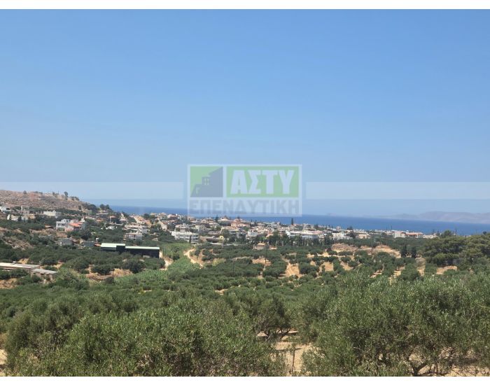 Πωλείται - ΓΟΥΡΝΕΣ ΠΕΔΙΑΔΟΣ