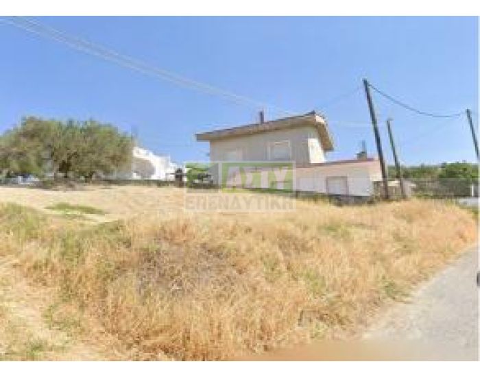 For Sale - PATSIDES