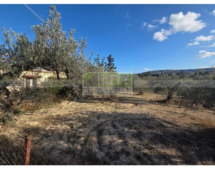 For Sale - AGIA EIRINI SPILIA