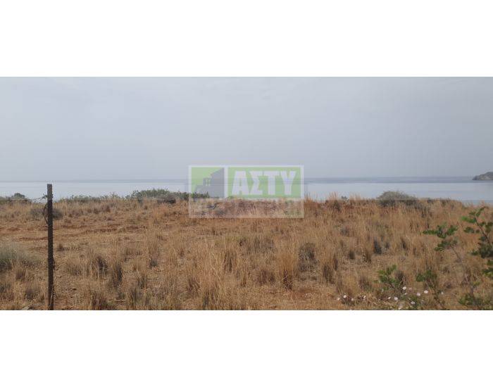 Πωλείται - ΤΣΟΥΤΣΟΥΡΟΣ