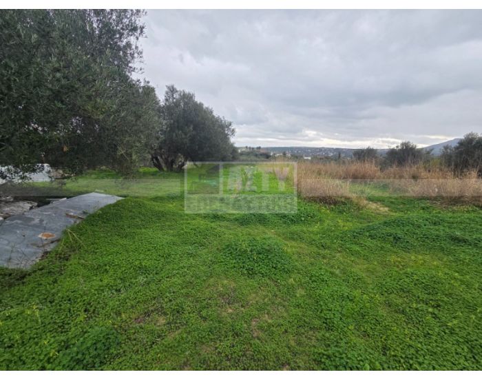 For Sale - ESTAVROMENOS-ELMEPA