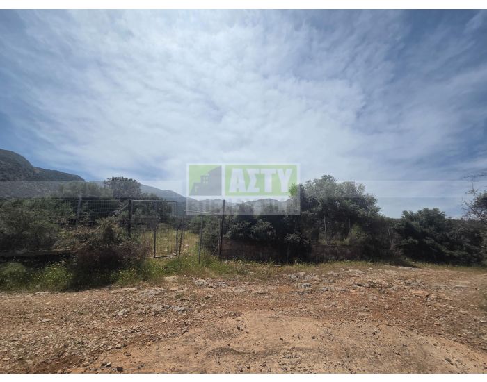 For Sale - MALIA