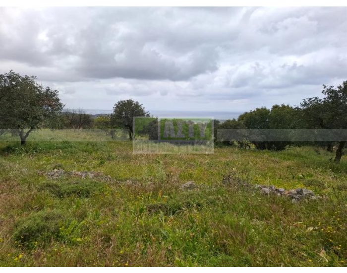 For Sale - MALIA