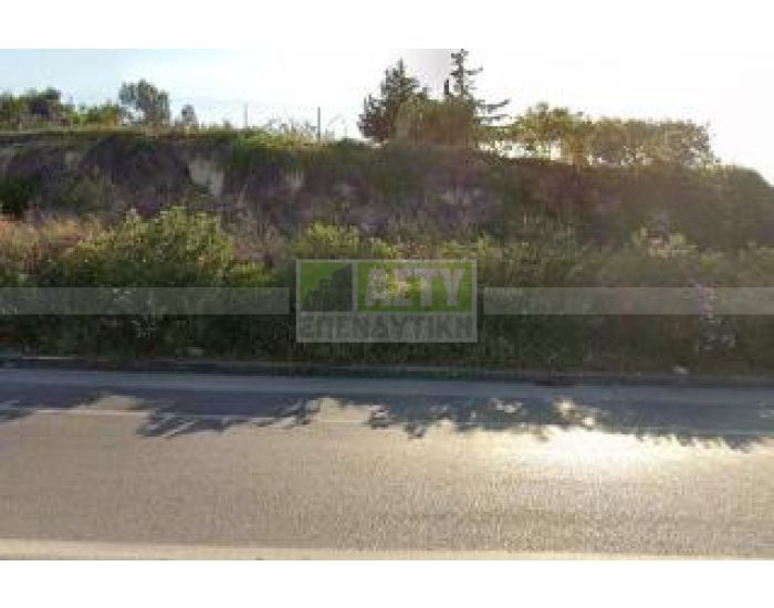 For Sale - PATSIDES