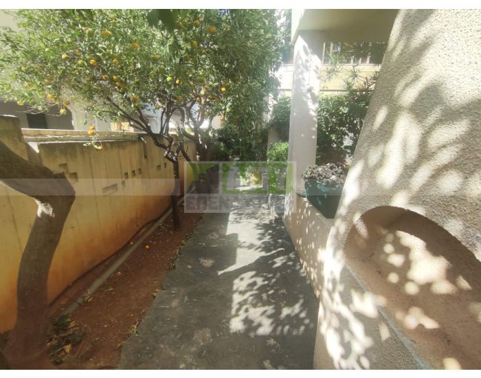 For Sale - MASTAMPAS