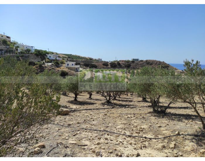 For Sale - KERATOKAMPOS