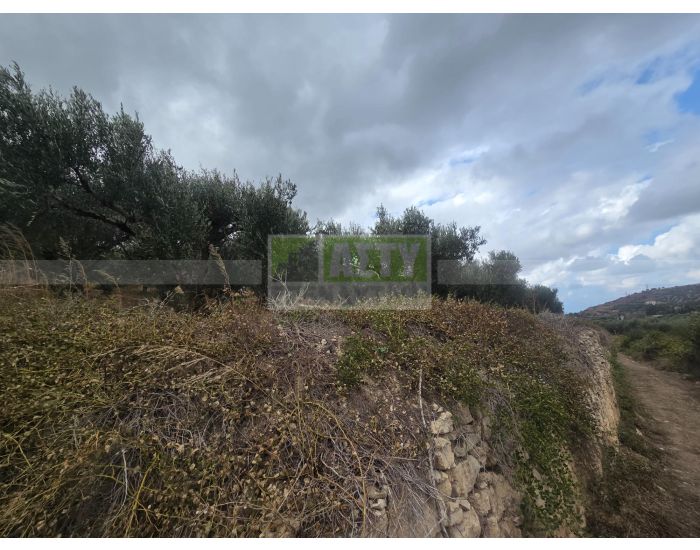 For Sale - SPILIA