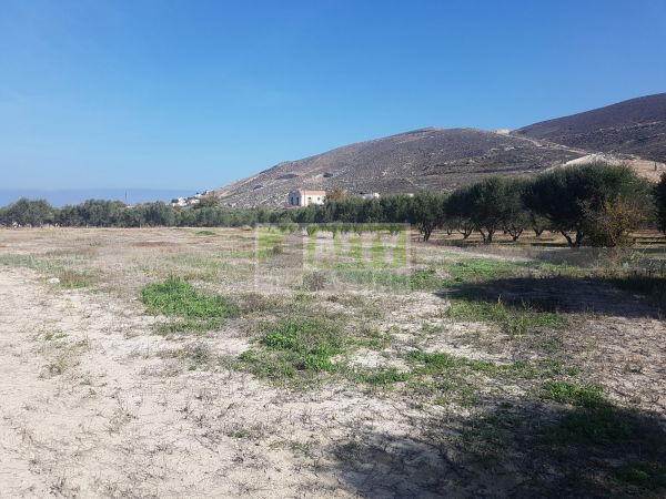 For Sale - KARTEROS