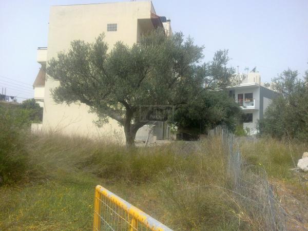Πωλείται - ΜΕΣΑΜΠΕΛΙΕΣ