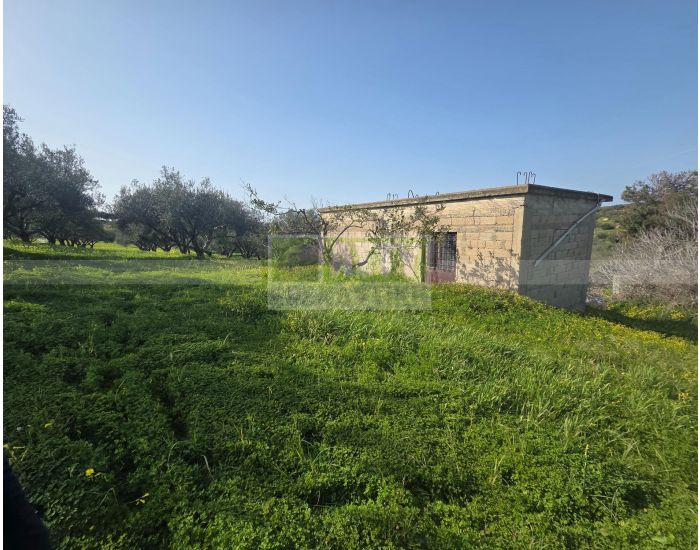 For Sale - ANO VATHIA