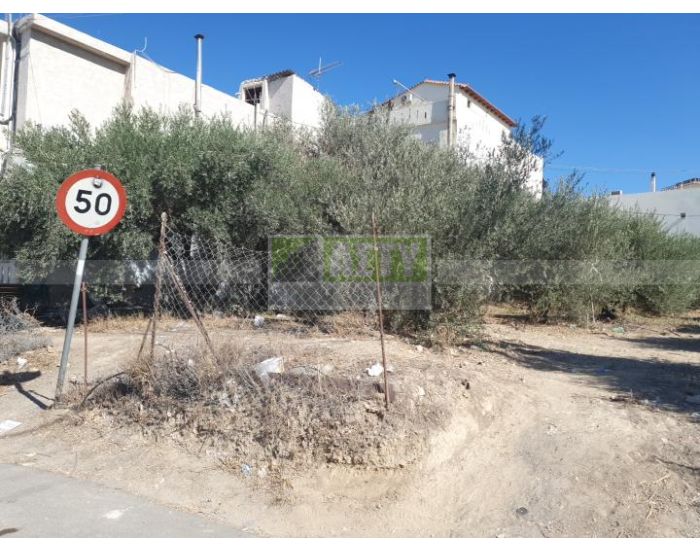 For Sale - KAPPARIANA