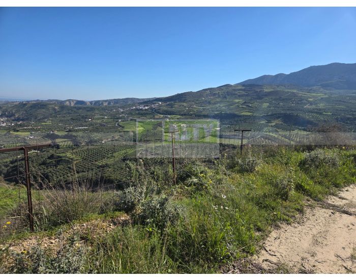 For Sale - TSAGKARAKI