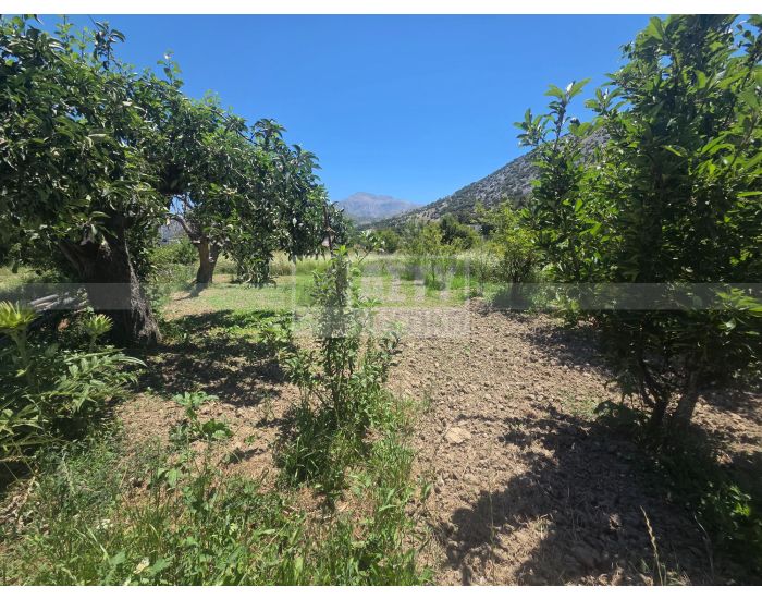 For Sale - PSYCHRO LASITHI