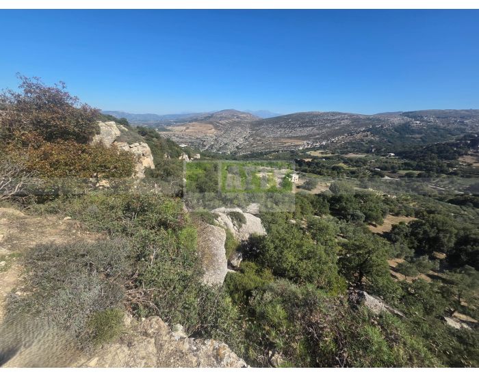 For Sale - AGIOS THOMAS