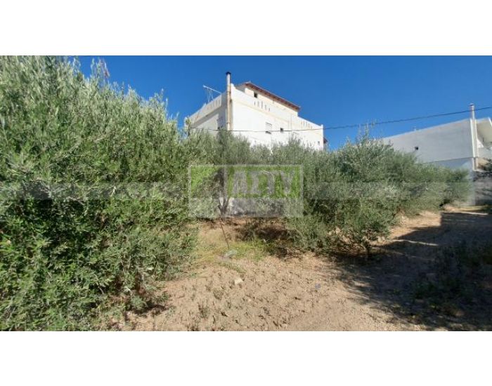 For Sale - KAPPARIANA