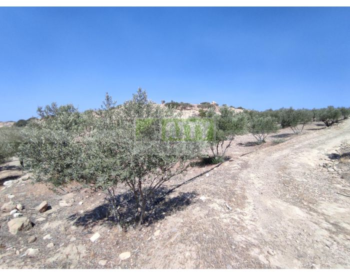 For Sale - KERATOKAMPOS