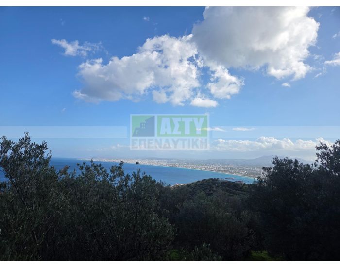 For Sale - PANTANASSA