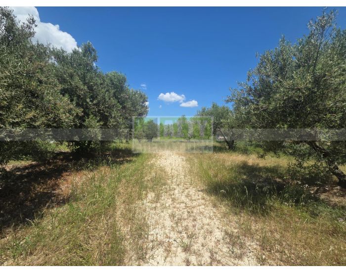 For Sale - DAFNES