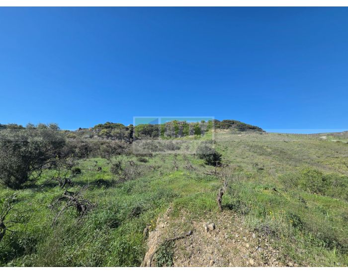 Πωλείται - ΚΑΡΝΑΡΙ