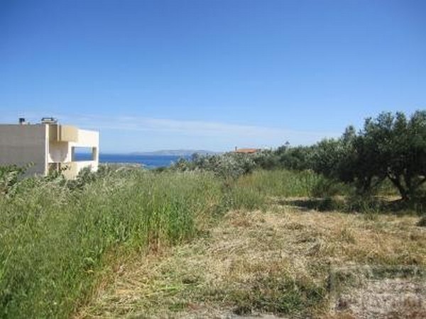 For Sale - ΠΡΑΣΣΑΣ