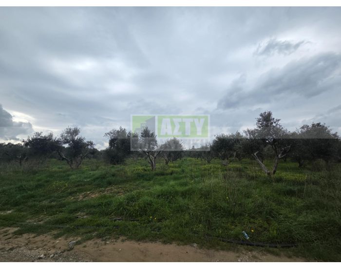 Πωλείται - ΙΝΙ