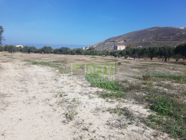 For Sale - KARTEROS