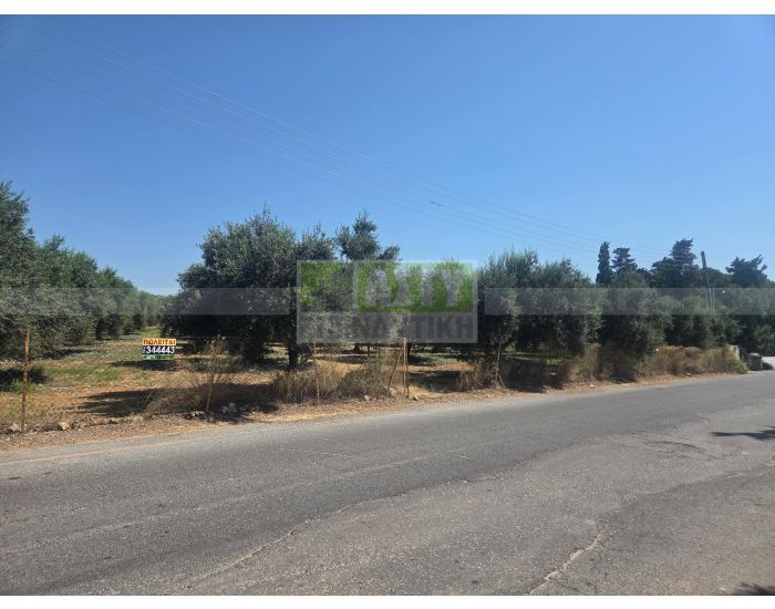 For Sale - ARKALOCHORI