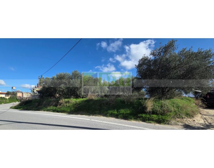 For Sale - KELLIA