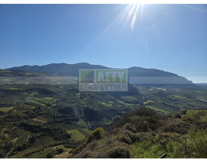 For Sale - TSAGKARAKI