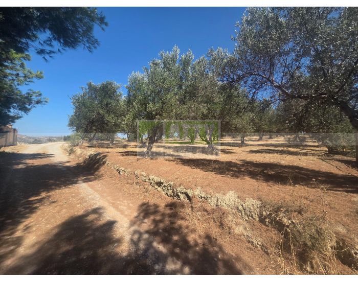 For Sale - SKALANI