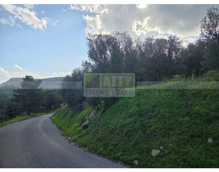 For Sale - PANTANASSA