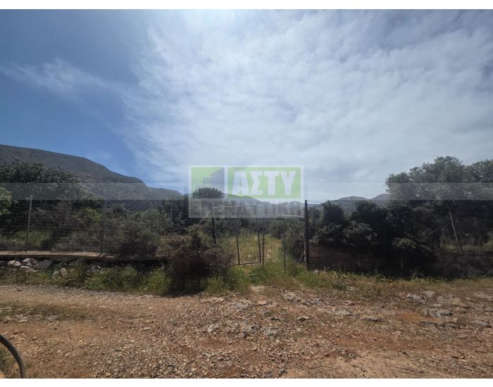 For Sale - MALIA