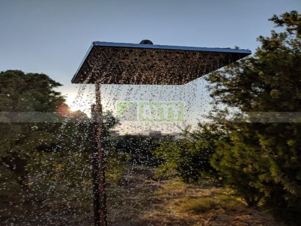 Ενοικιάζεται - ΠΑΓΝΗ