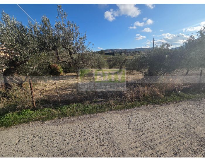 For Sale - AGIA EIRINI SPILIA