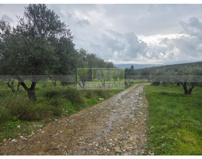 Πωλείται - ΙΝΙ