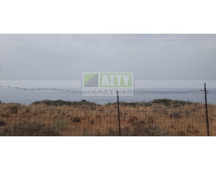 Πωλείται - ΤΣΟΥΤΣΟΥΡΟΣ