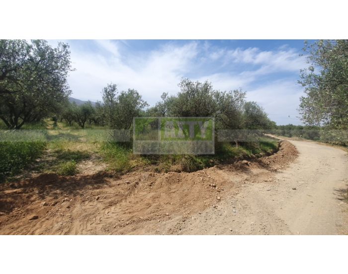 For Sale - CHARAKAS