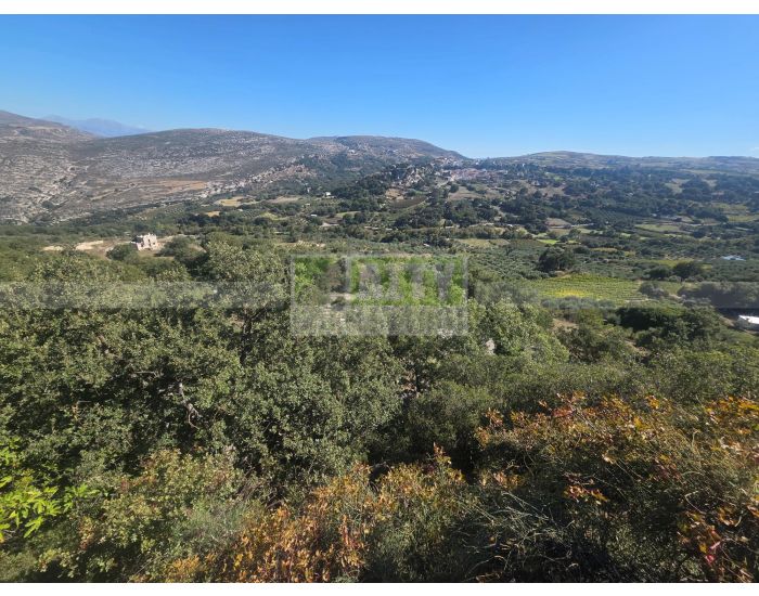 For Sale - AGIOS THOMAS