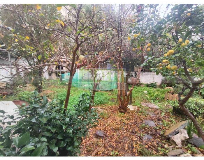 For Sale - MASTAMPAS