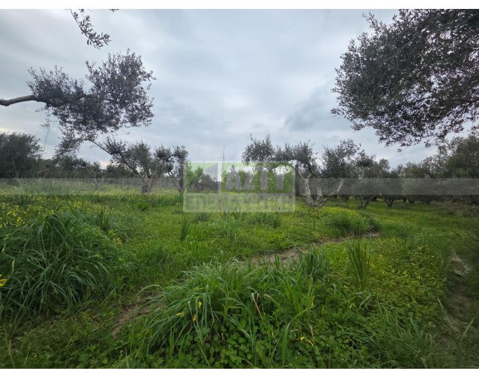 Πωλείται - ΙΝΙ