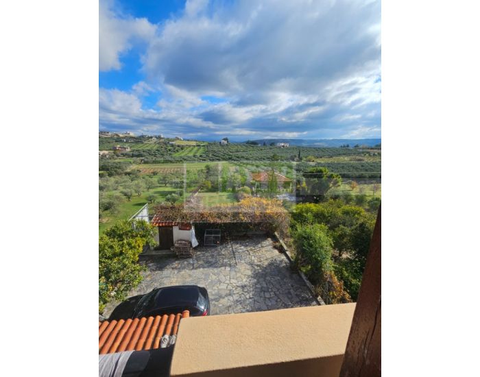 Πωλείται - ΒΑΣΙΛΕΙΕΣ