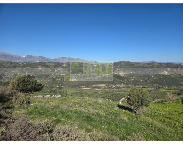 For Sale - TSAGKARAKI