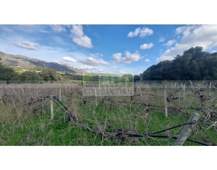 For Sale - TYLISSOS