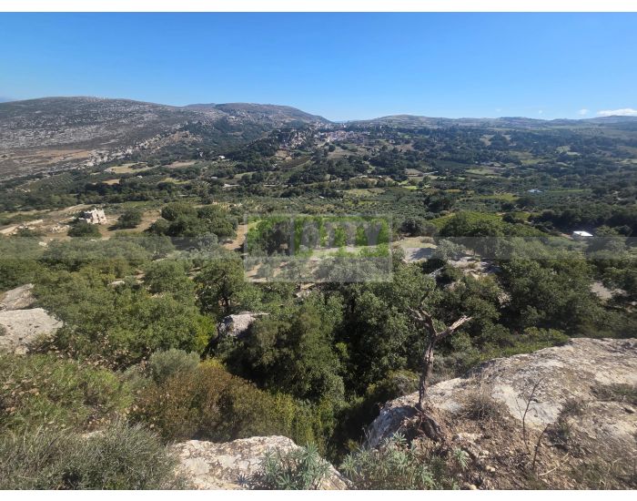 For Sale - AGIOS THOMAS